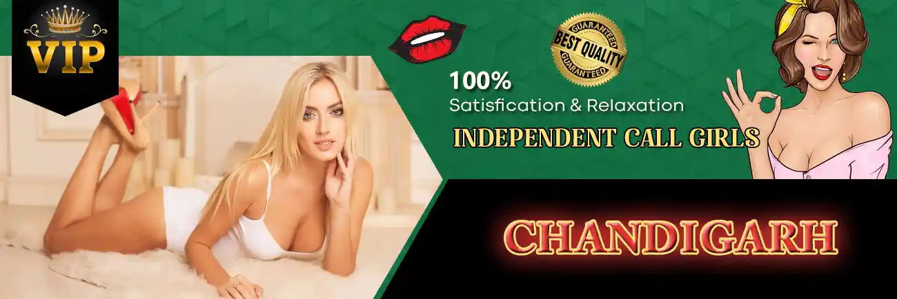 Patiala Call Girls Banner Patiala Call Girls Banner