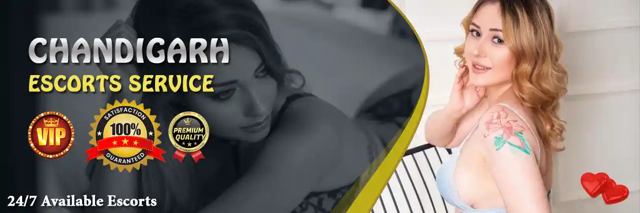 Chandigarh Escorts Banner Chandigarh Escorts Banner