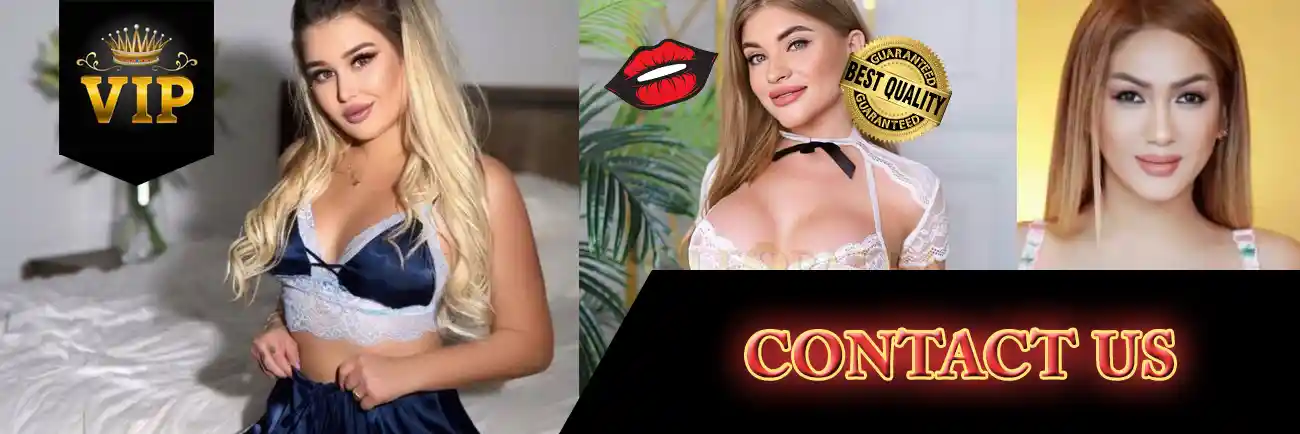 Conatct of Bangalore Escort Service