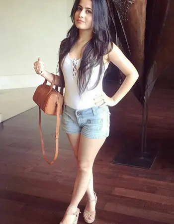 Vaishali Call Girls